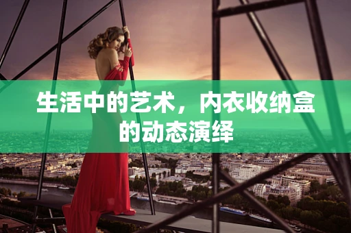 生活中的艺术，内衣收纳盒的动态演绎