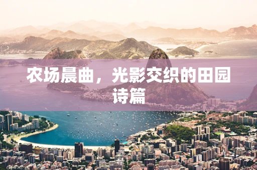 农场晨曲，光影交织的田园诗篇