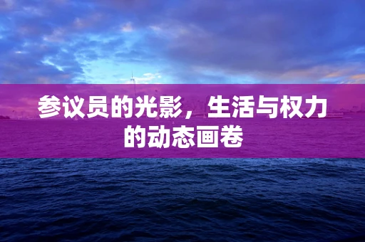 参议员的光影，生活与权力的动态画卷