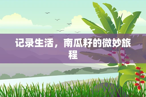 记录生活，南瓜籽的微妙旅程