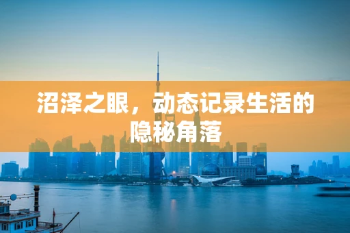 沼泽之眼，动态记录生活的隐秘角落