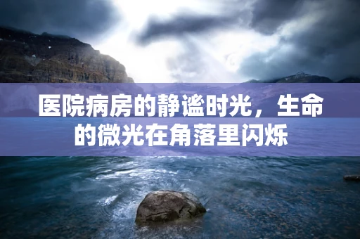 医院病房的静谧时光，生命的微光在角落里闪烁