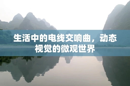 生活中的电线交响曲，动态视觉的微观世界