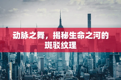 动脉之舞，揭秘生命之河的斑驳纹理
