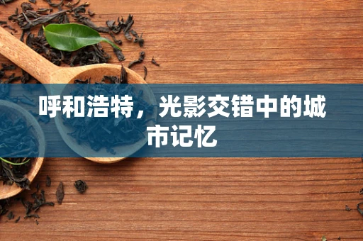 呼和浩特，光影交错中的城市记忆