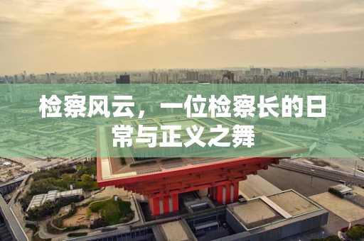 检察风云，一位检察长的日常与正义之舞