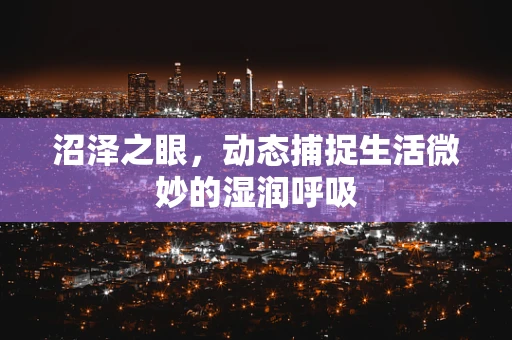 沼泽之眼，动态捕捉生活微妙的湿润呼吸