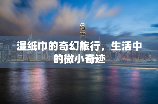 湿纸巾的奇幻旅行，生活中的微小奇迹