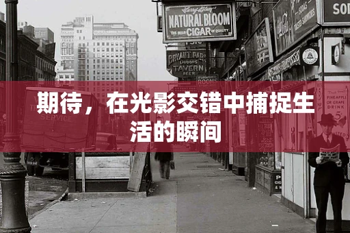 期待，在光影交错中捕捉生活的瞬间