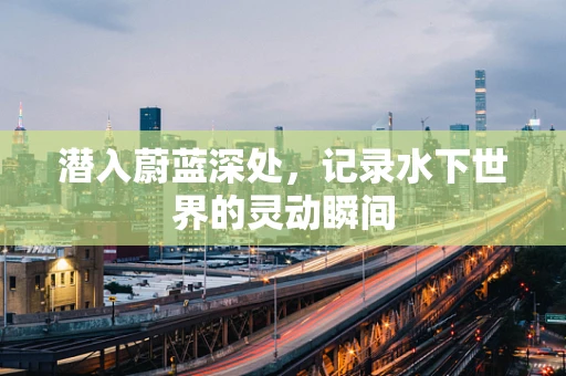 潜入蔚蓝深处，记录水下世界的灵动瞬间