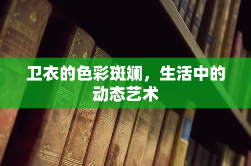 卫衣的色彩斑斓，生活中的动态艺术