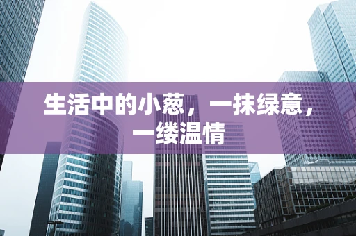 生活中的小葱，一抹绿意，一缕温情