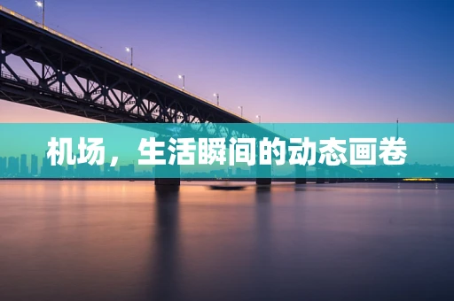 机场，生活瞬间的动态画卷