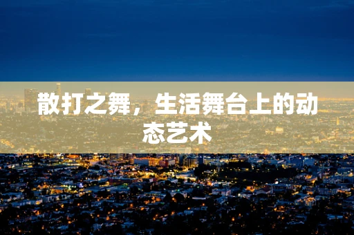 散打之舞，生活舞台上的动态艺术