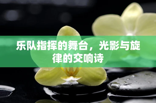乐队指挥的舞台，光影与旋律的交响诗