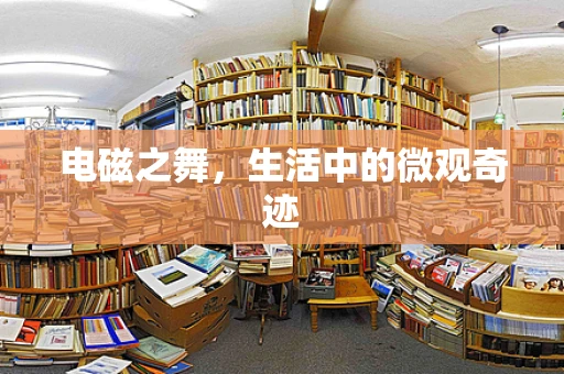 电磁之舞，生活中的微观奇迹