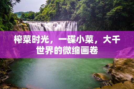 榨菜时光，一碟小菜，大千世界的微缩画卷