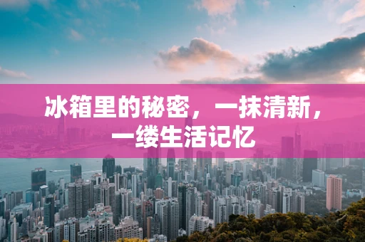 冰箱里的秘密，一抹清新，一缕生活记忆
