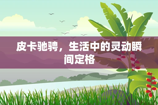 皮卡驰骋，生活中的灵动瞬间定格