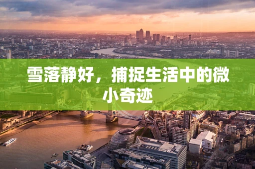 雪落静好，捕捉生活中的微小奇迹