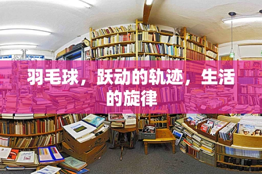 羽毛球，跃动的轨迹，生活的旋律