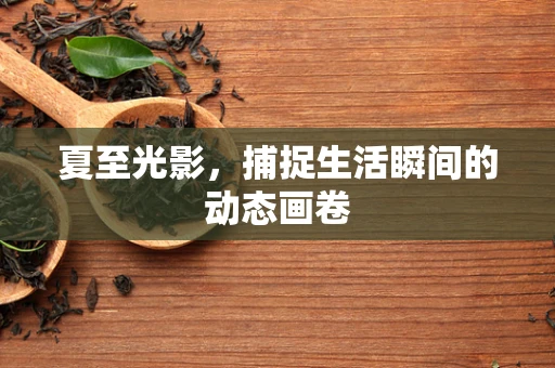 夏至光影，捕捉生活瞬间的动态画卷