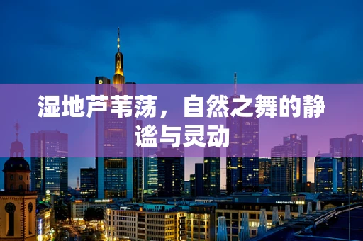湿地芦苇荡，自然之舞的静谧与灵动