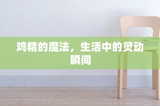 鸡精的魔法，生活中的灵动瞬间