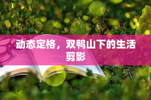 动态定格，双鸭山下的生活剪影