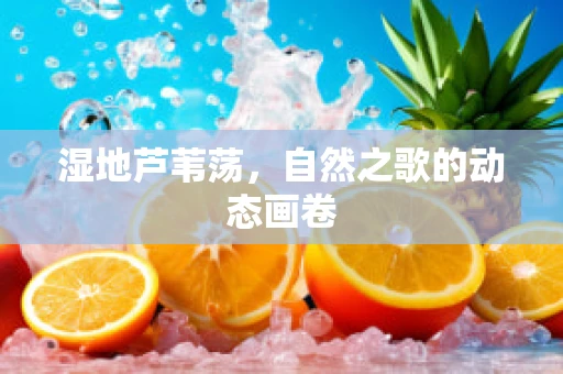 湿地芦苇荡，自然之歌的动态画卷