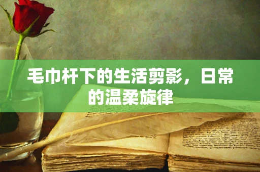 毛巾杆下的生活剪影，日常的温柔旋律