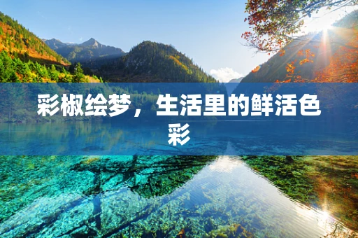 彩椒绘梦，生活里的鲜活色彩