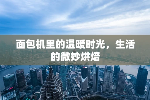 面包机里的温暖时光，生活的微妙烘焙