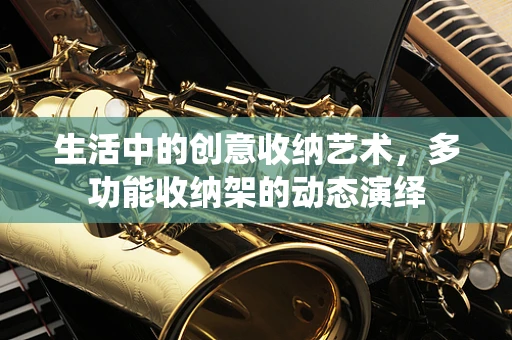 生活中的创意收纳艺术，多功能收纳架的动态演绎