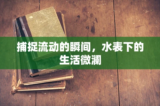 捕捉流动的瞬间，水表下的生活微澜