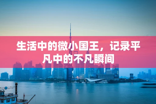 生活中的微小国王，记录平凡中的不凡瞬间