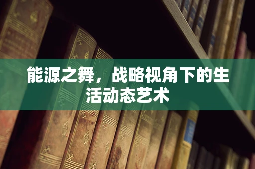 能源之舞，战略视角下的生活动态艺术