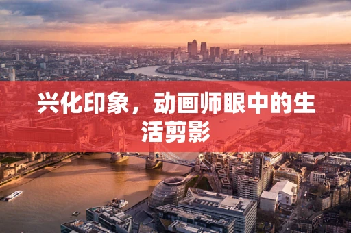 兴化印象，动画师眼中的生活剪影