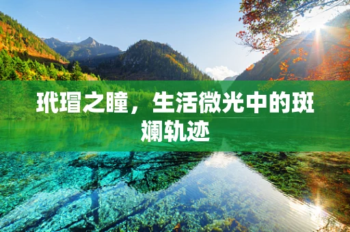 玳瑁之瞳，生活微光中的斑斓轨迹