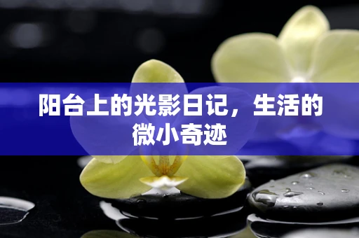 阳台上的光影日记，生活的微小奇迹
