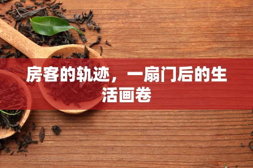 房客的轨迹，一扇门后的生活画卷