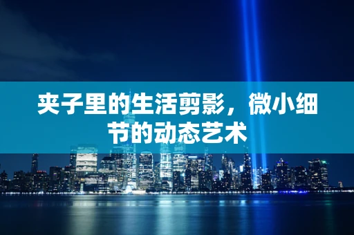 夹子里的生活剪影，微小细节的动态艺术