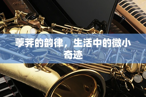 荸荠的韵律，生活中的微小奇迹
