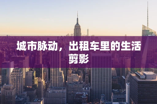 城市脉动，出租车里的生活剪影
