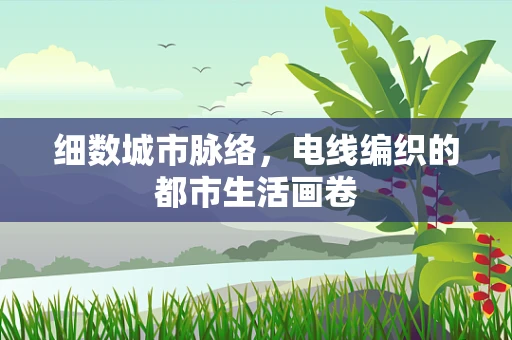 细数城市脉络，电线编织的都市生活画卷