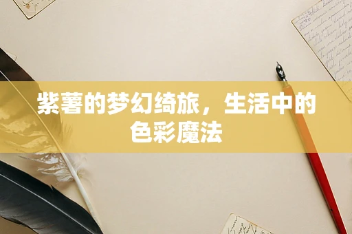 紫薯的梦幻绮旅，生活中的色彩魔法