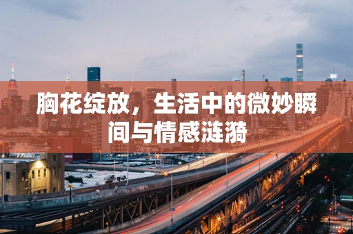 胸花绽放，生活中的微妙瞬间与情感涟漪