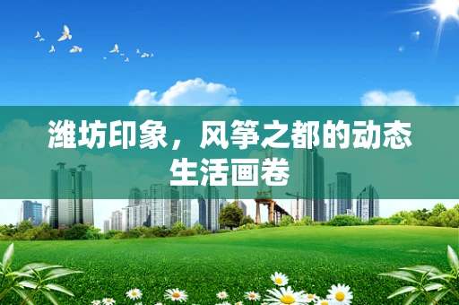 潍坊印象，风筝之都的动态生活画卷