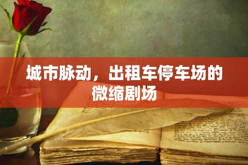 城市脉动，出租车停车场的微缩剧场