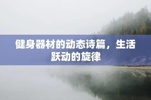 健身器材的动态诗篇，生活跃动的旋律